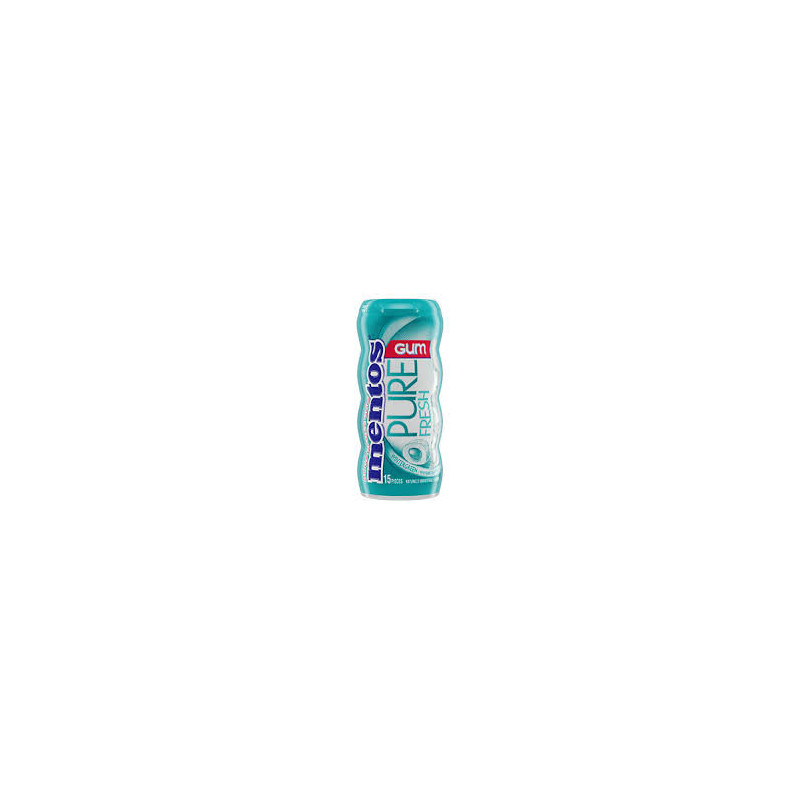 MENTOS GUM WINTERGREEN X10