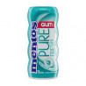 MENTOS GUM WINTERGREEN X10